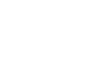 WTplus